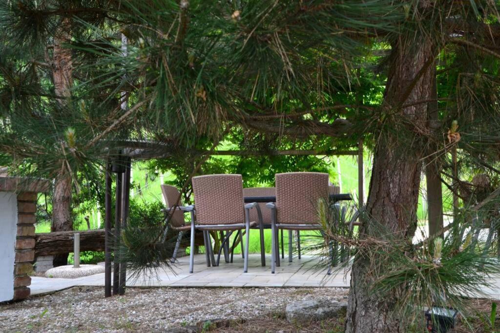 Apartment Villam Maribor